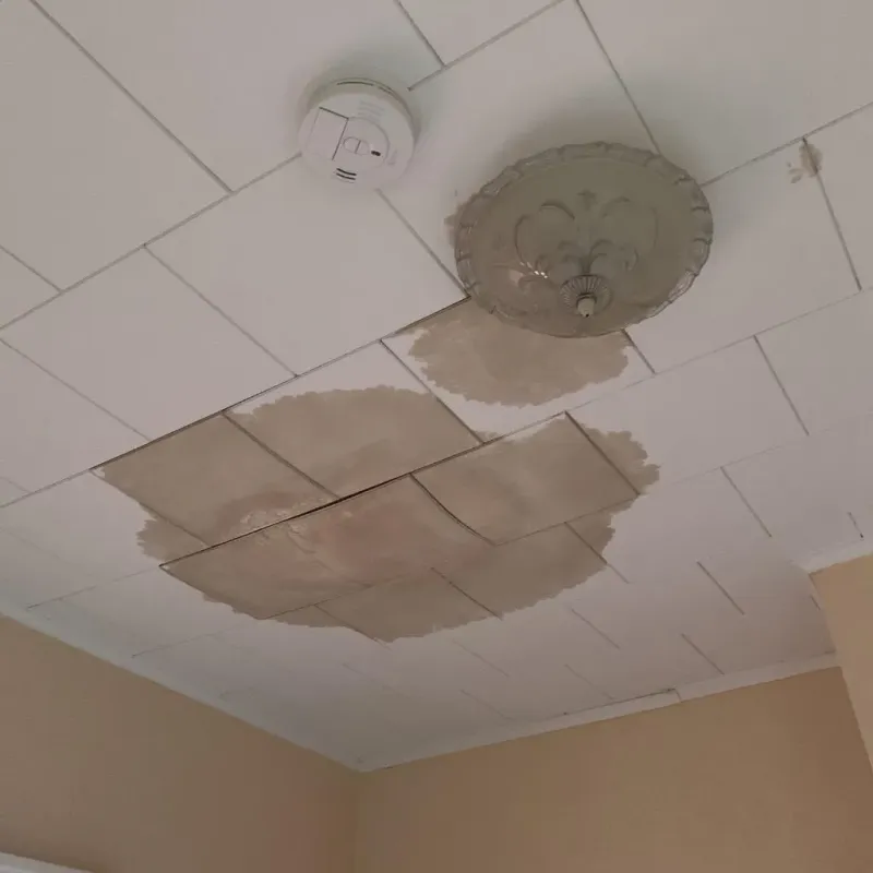 Ceiling Water Damage Repair in Adwolf, VA